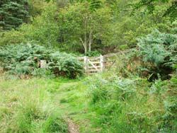 Kissing Gate